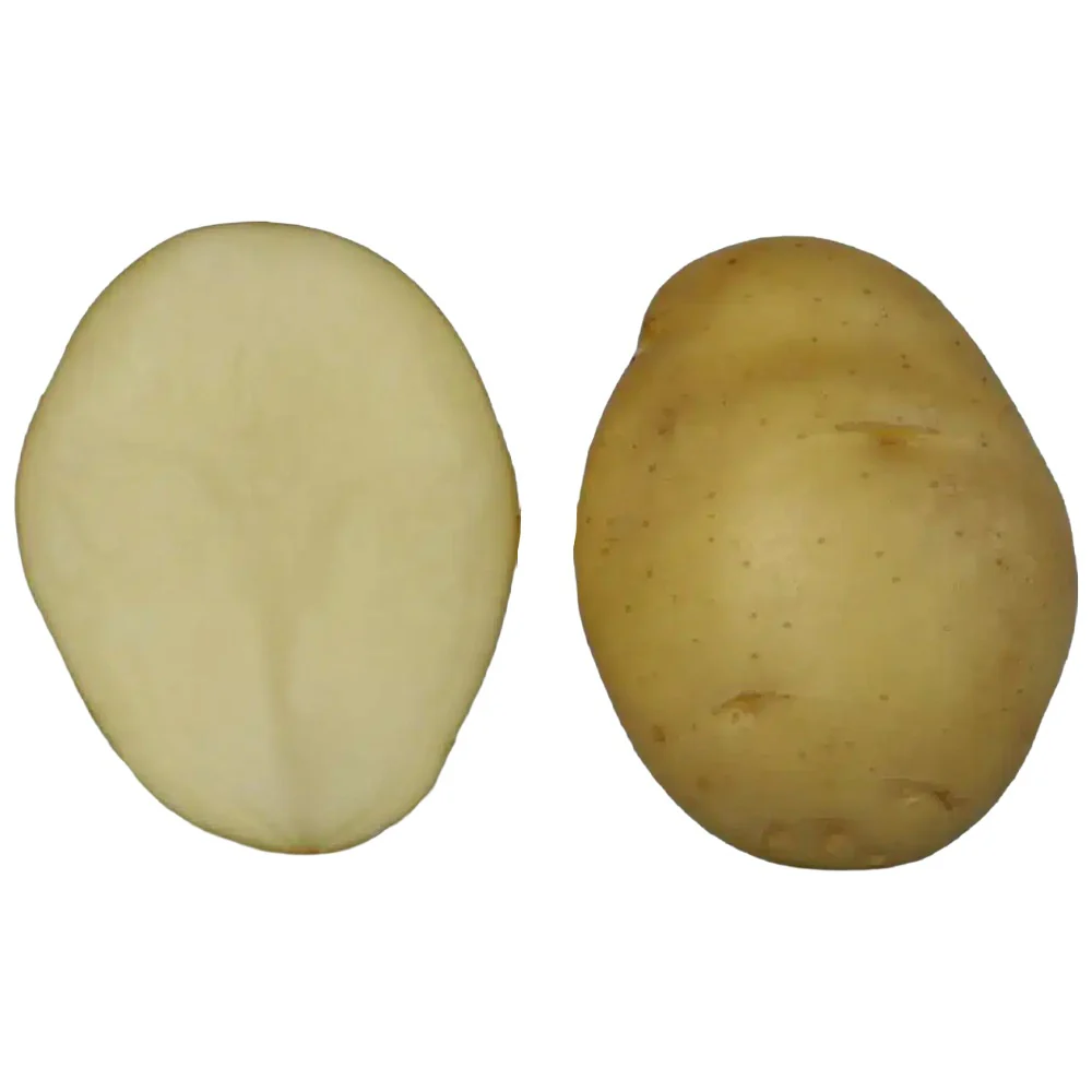 Patata Da Seme Mondial Prevalentemente Sode – 25Kg