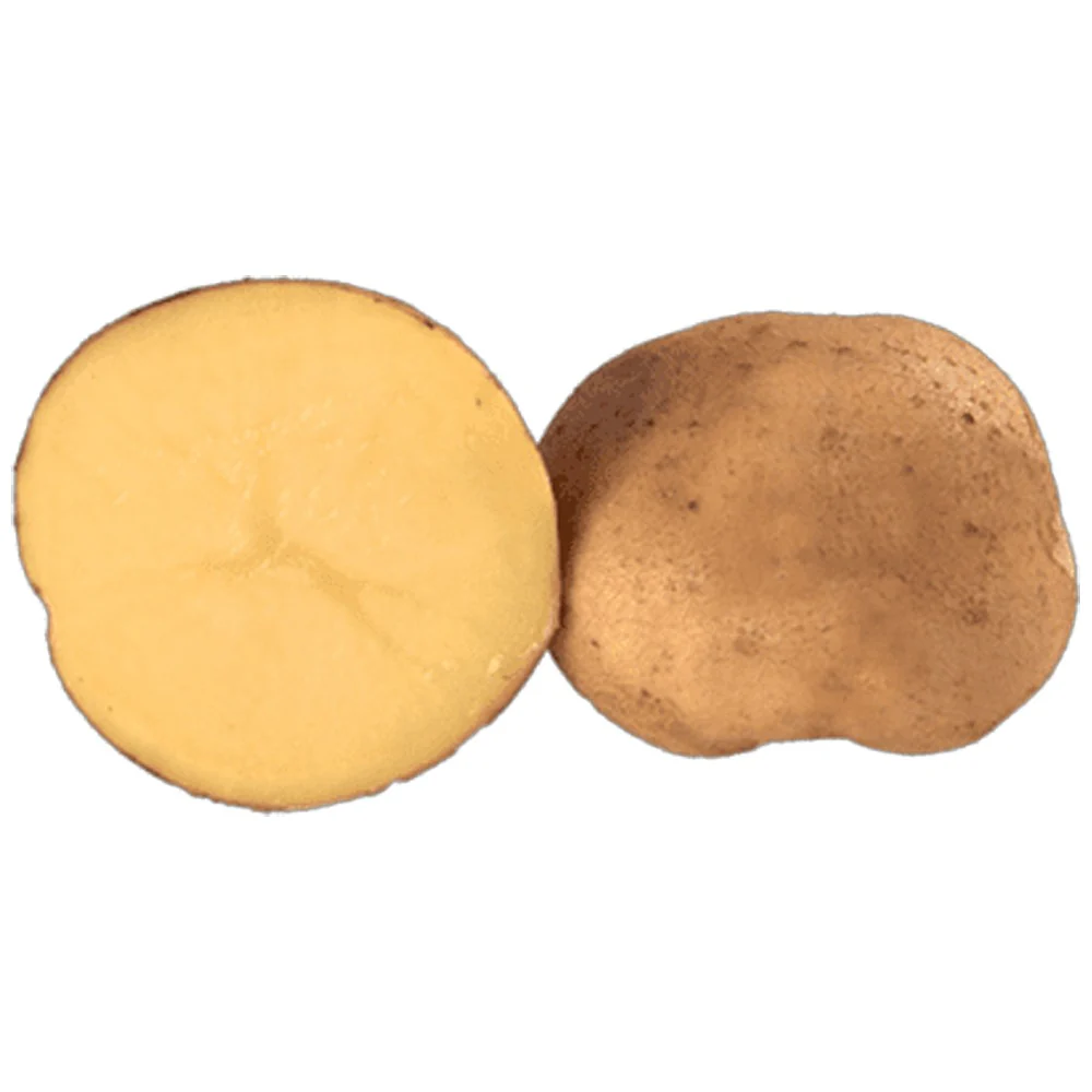 Patata Da Semina Bettina A Polpa Gialla – 25Kg