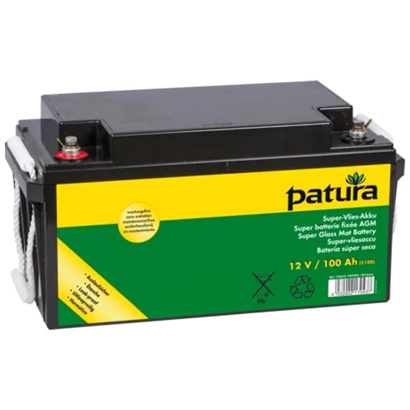 PATURA P4600 Elettrificatore per recinti con scatola di sicurezza - Image 2