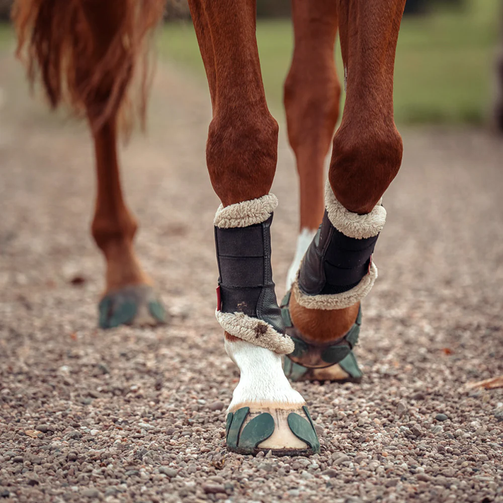 Performer V3 – Ferratura di plastica per cavallo, coppia (2 pezzi) - Image 10