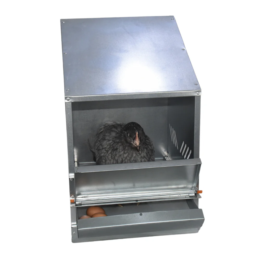 Pollaio per l'ovodeposizione - Image 3