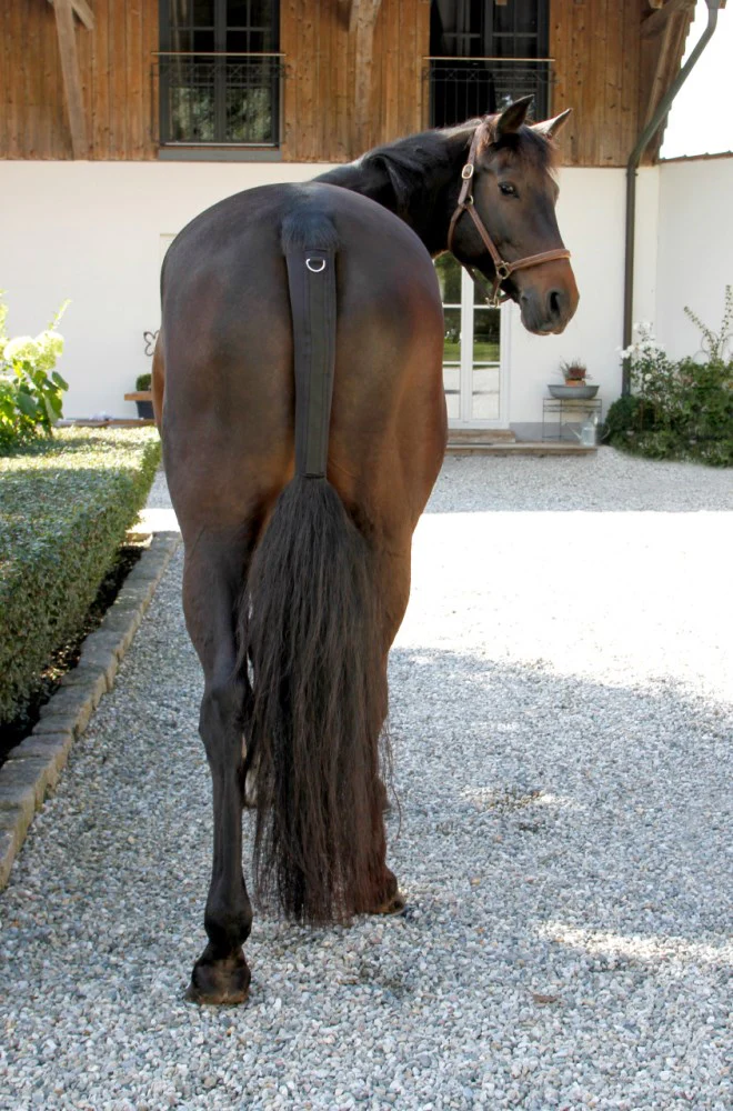 Paracoda in caucciù sintetico con chiusura a strappo per cavallo - Image 3