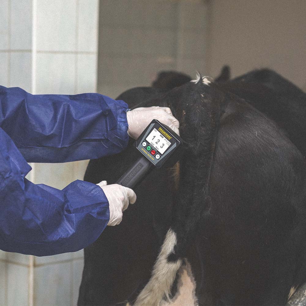 Rilevatore di Estro per Bovini e Cavalli - Image 4