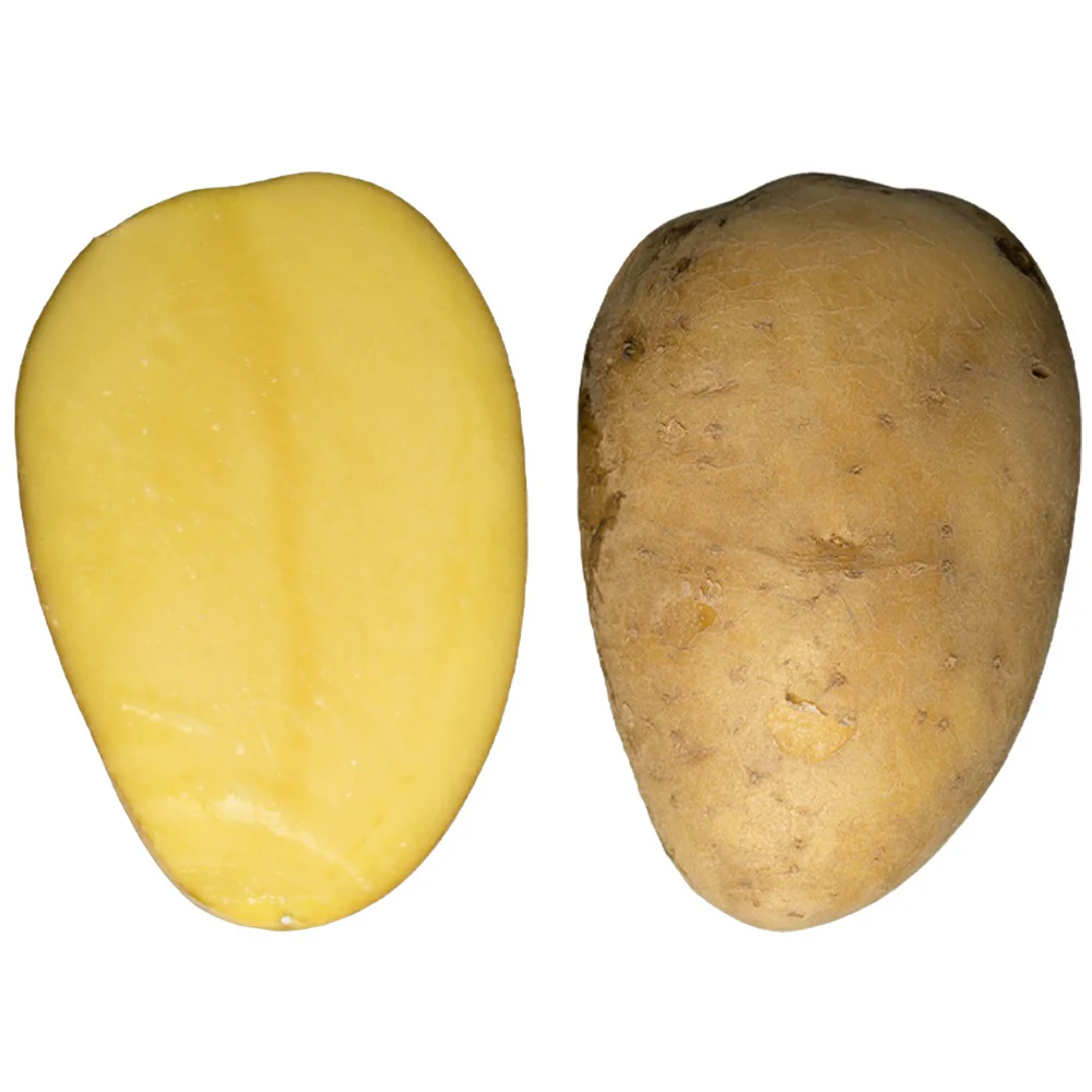 Sementi di Patate Cicero 25kg