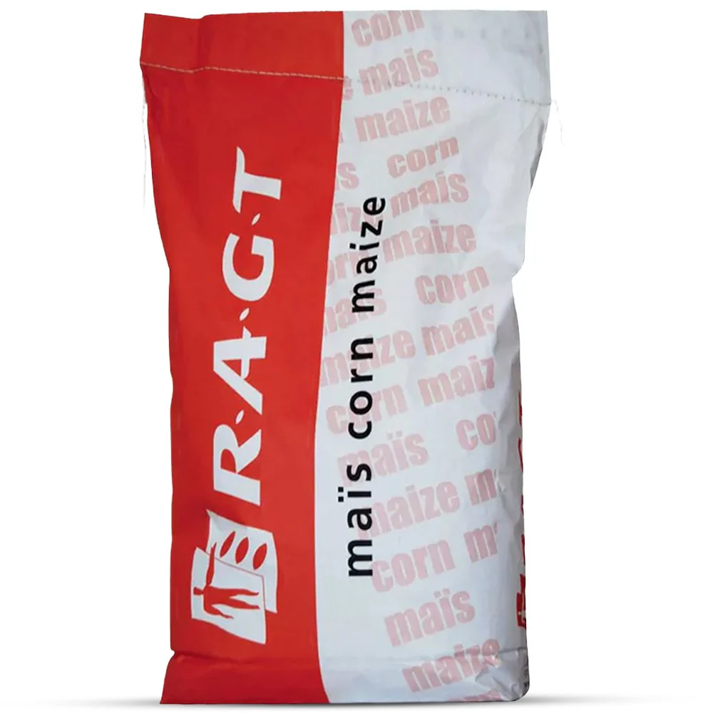 Sementi Mais Greatful RAG Force+Korit | Silomais