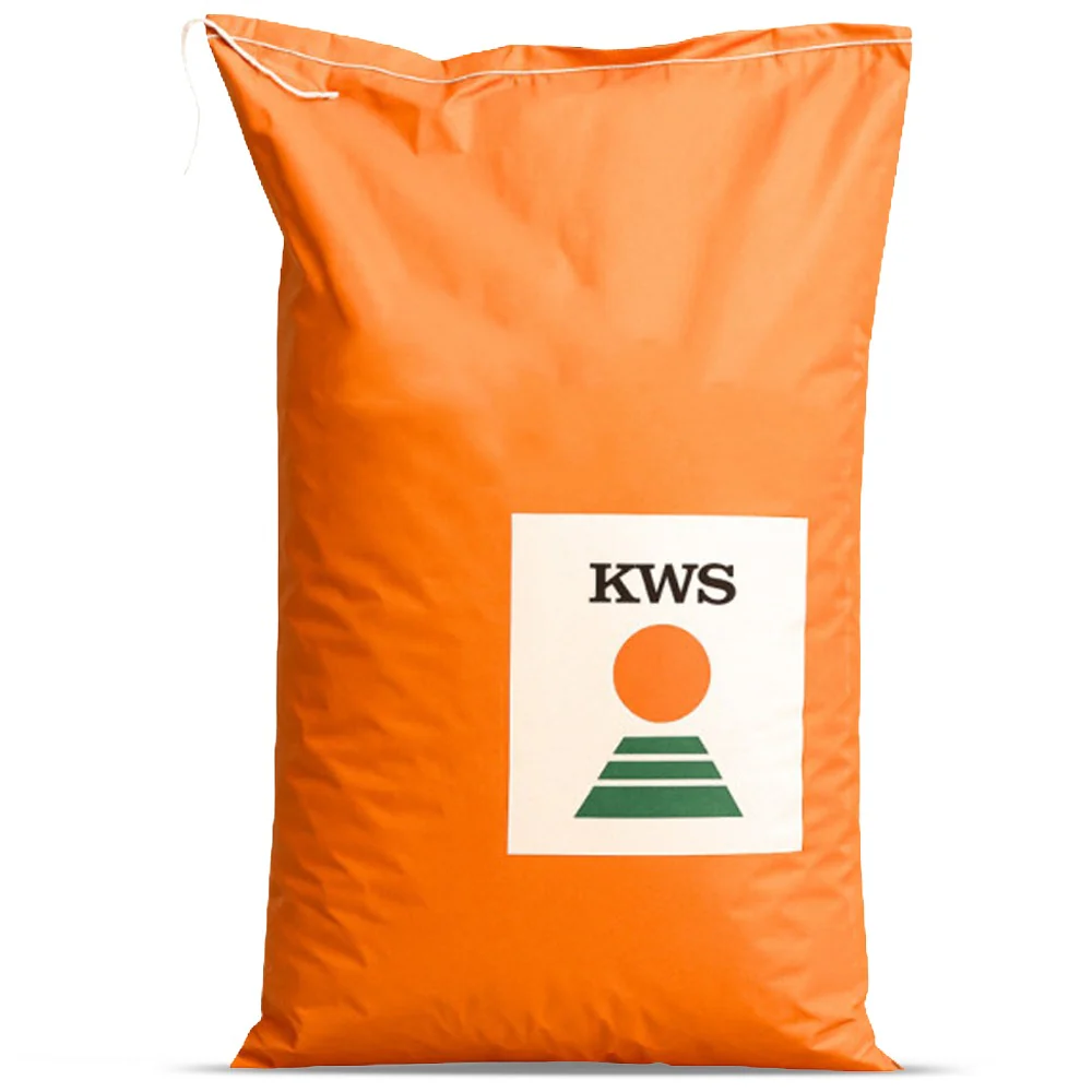 Sementi Mais Lupollino KWS Ibrido Silomais