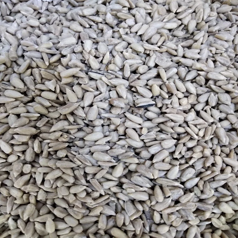 Semi di Girasole Sgusciati per Uccelli Selvatici, Mangime per Uccelli 5 kg – Qualità Premium, Nutriente ed Energetico
