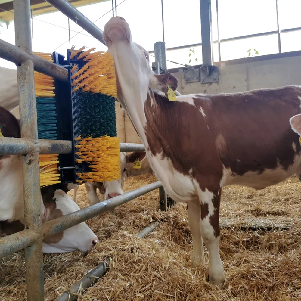 Set completo spazzola Multifix angolare per grattarsi – Ideale per bovini, cavalli e altri animali - Image 12