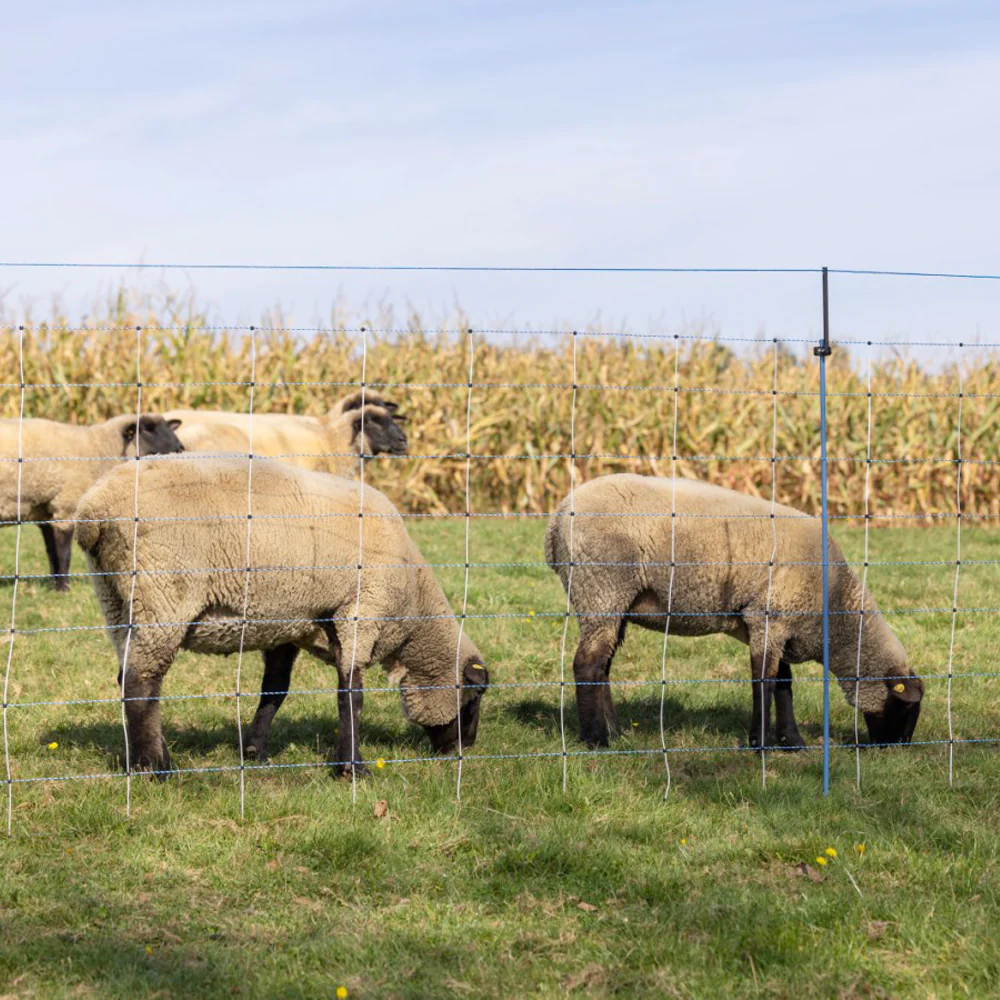 Set di estensione WolfStop per reti da pascolo – 10 pezzi - Image 10