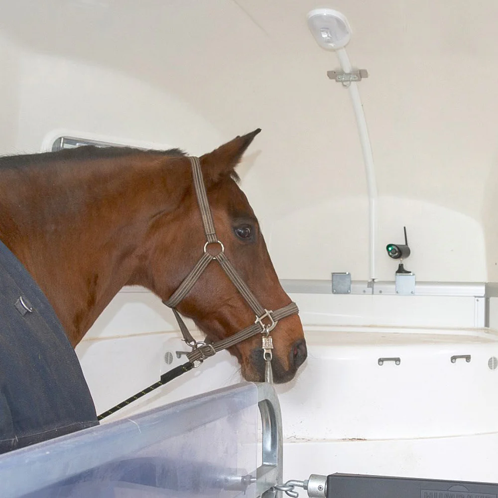 SmartCam HD  Videocamera Wireless per Sorveglianza Animali con Supporto Magnetico e Visione - Image 5