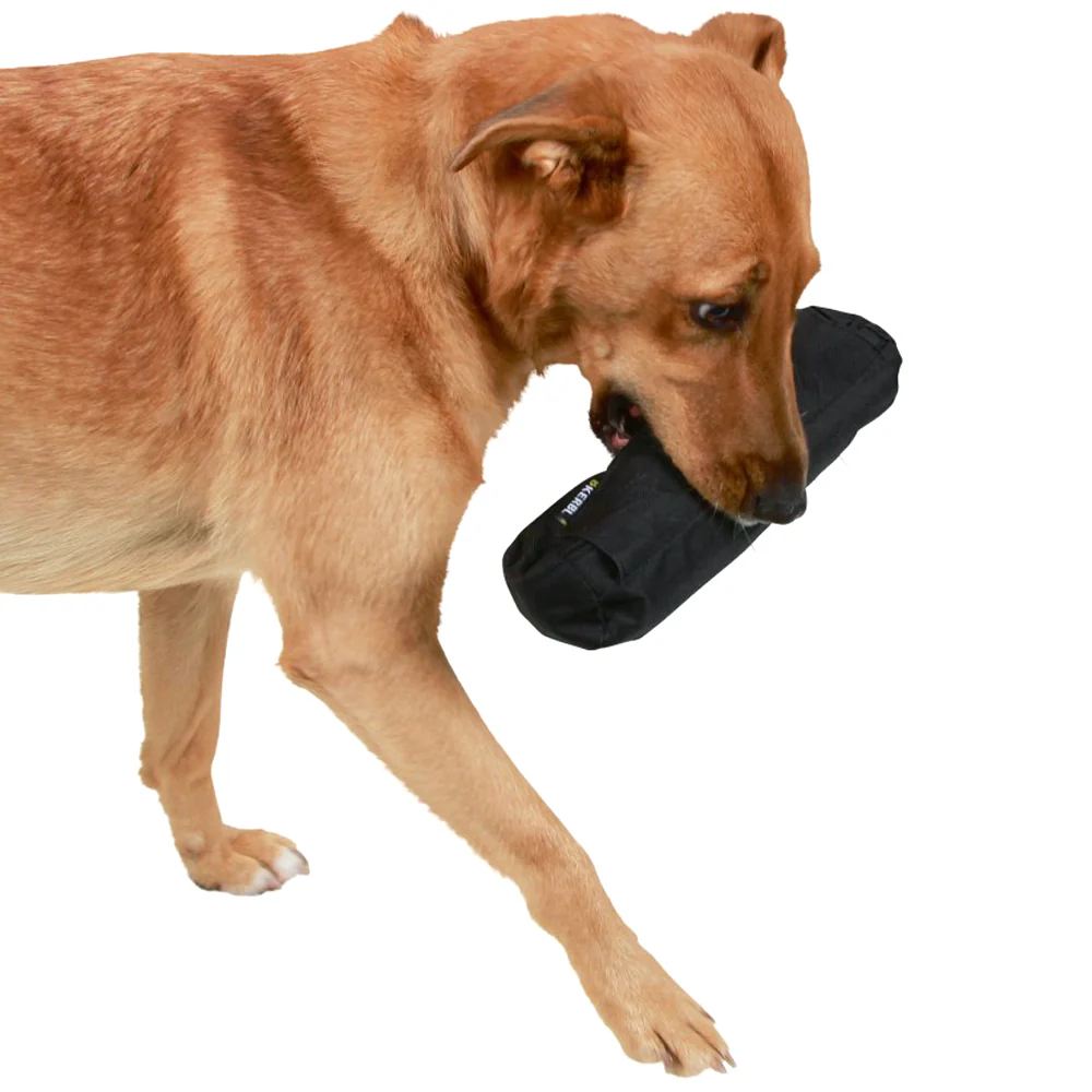 Snack-Dummy per cani - Image 5