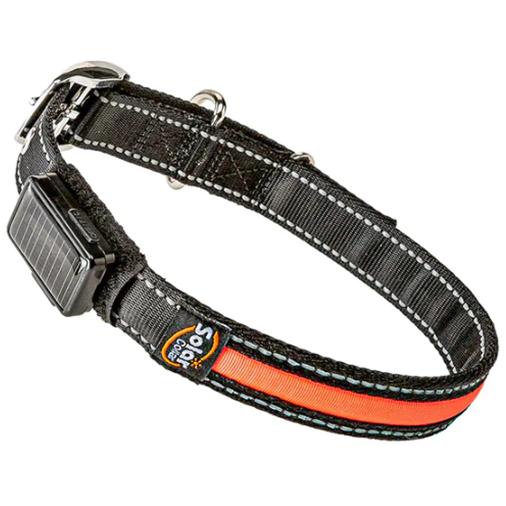 SOLAR NIGHT C - Collare riflettente e lampeggiante con ricarica solare/USB per cani