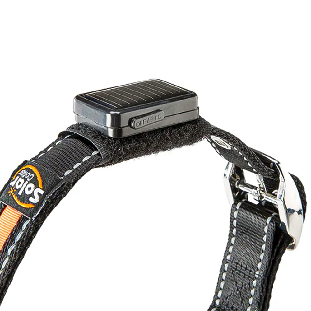SOLAR NIGHT C - Collare riflettente e lampeggiante con ricarica solare/USB per cani - Image 7