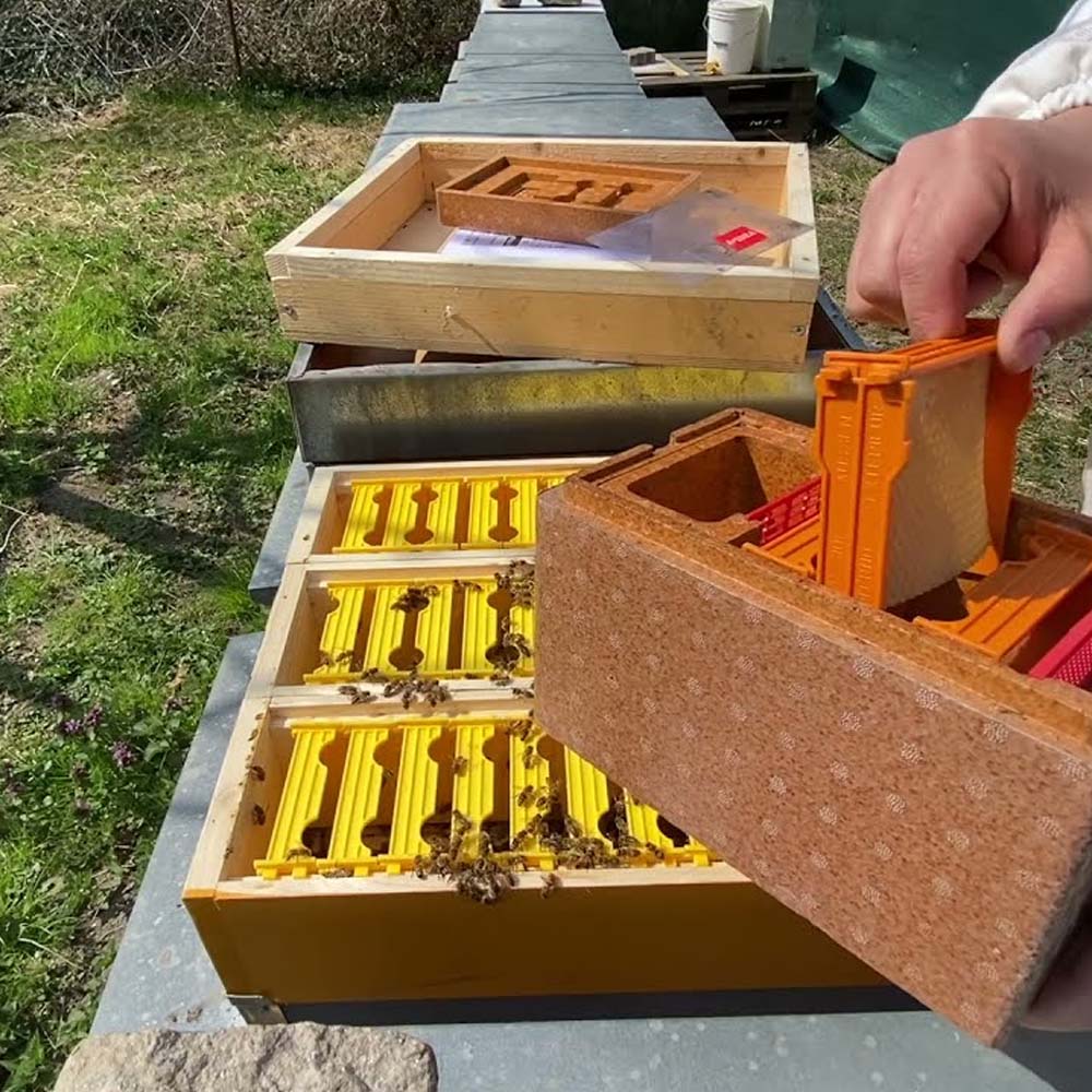Telaio in plastica marca Apidea per mini cassetti per fertilizzazione - Image 8